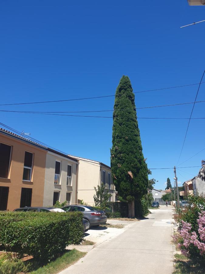 פאז'אנה Apartmani Slavulj מראה חיצוני תמונה