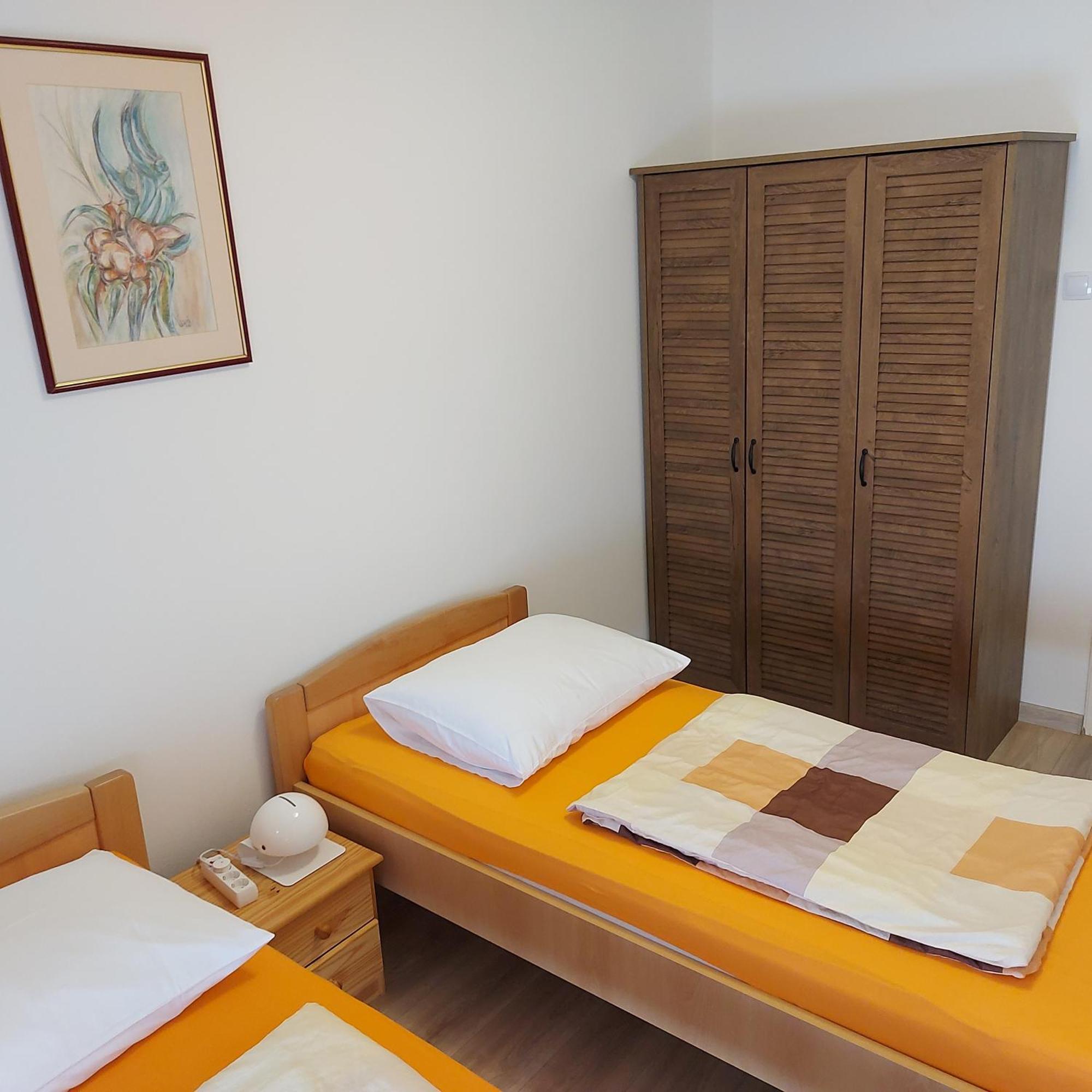 פאז'אנה Apartmani Slavulj מראה חיצוני תמונה